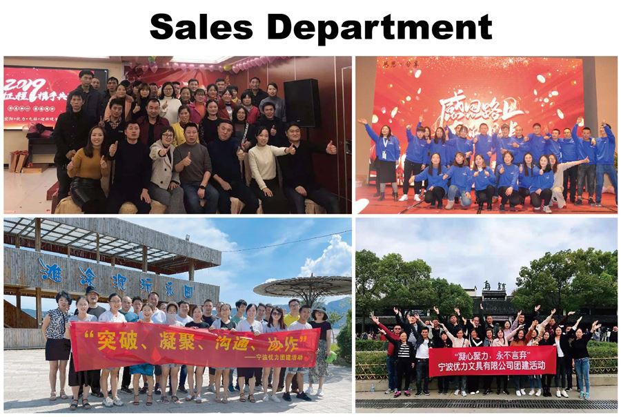 TEAM SALES